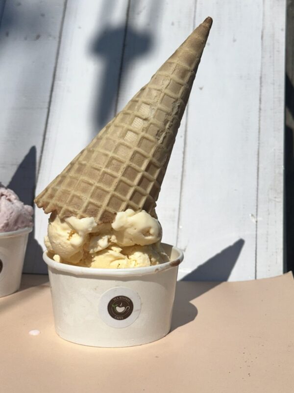 Vanilla